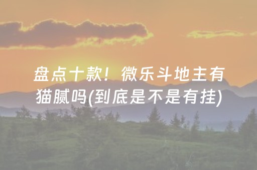 盘点十款！微乐斗地主有猫腻吗(到底是不是有挂)