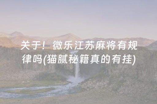 关于！微乐江苏麻将有规律吗(猫腻秘籍真的有挂)