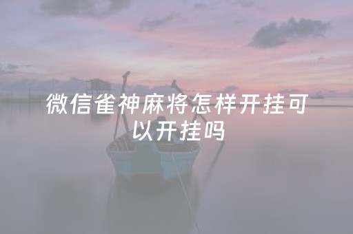微信雀神麻将怎样开挂可以开挂吗（微信雀神麻将有开挂的吗?）