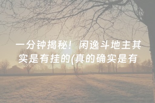 一分钟揭秘！闲逸斗地主其实是有挂的(真的确实是有挂)