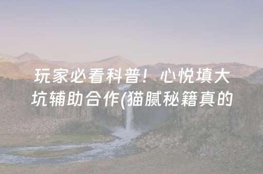 玩家必看科普！心悦填大坑辅助合作(猫腻秘籍真的有挂)