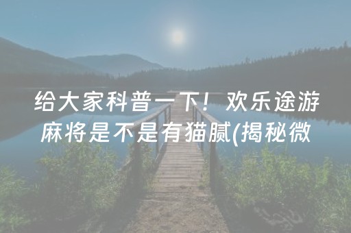 给大家科普一下！欢乐途游麻将是不是有猫腻(揭秘微信里输赢规律)