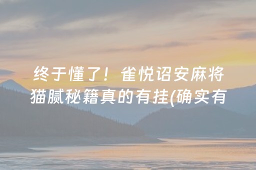 终于懂了！雀悦诏安麻将猫腻秘籍真的有挂(确实有挂吗)