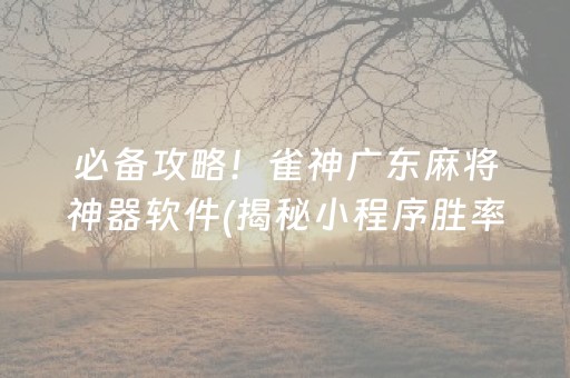 必备攻略！雀神广东麻将神器软件(揭秘小程序胜率到哪调)