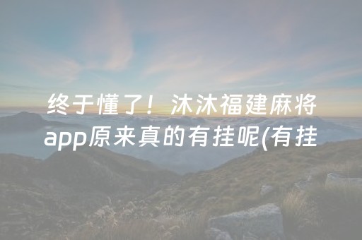 终于懂了！沐沐福建麻将app原来真的有挂呢(有挂技巧辅助器)