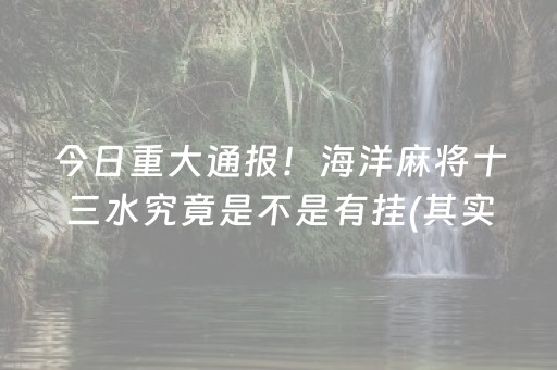 今日重大通报！海洋麻将十三水究竟是不是有挂(其实是有挂的)