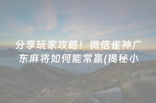 分享玩家攻略！微信雀神广东麻将如何能常赢(揭秘小程序助手软件)