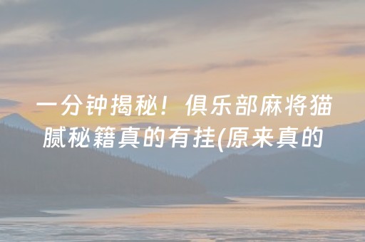 一分钟揭秘！俱乐部麻将猫腻秘籍真的有挂(原来真的有挂)