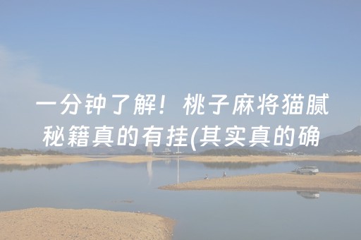 一分钟了解！桃子麻将猫腻秘籍真的有挂(其实真的确实有挂)