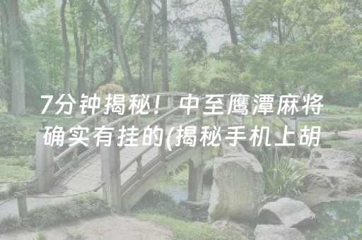 7分钟揭秘！中至鹰潭麻将确实有挂的(揭秘手机上胡牌神器)