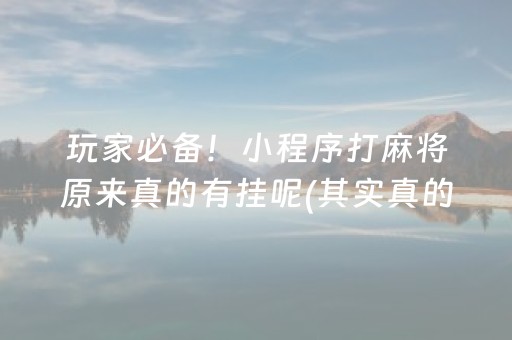 玩家必备！小程序打麻将原来真的有挂呢(其实真的确实有挂)