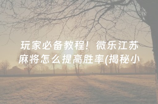 玩家必备教程！微乐江苏麻将怎么提高胜率(揭秘小程序提高胜率)