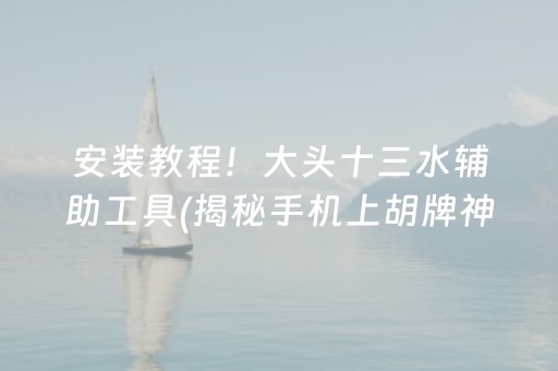 安装教程！大头十三水辅助工具(揭秘手机上胡牌神器)
