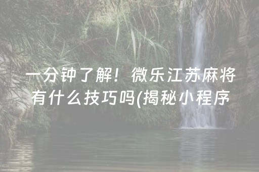 一分钟了解！微乐江苏麻将有什么技巧吗(揭秘小程序助攻神器)