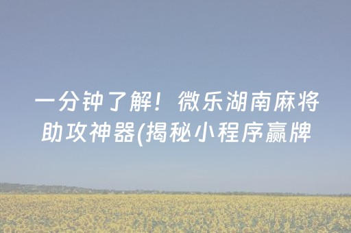 一分钟了解！微乐湖南麻将助攻神器(揭秘小程序赢牌技巧)