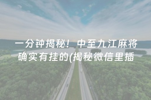 一分钟揭秘！中至九江麻将确实有挂的(揭秘微信里插件购买)
