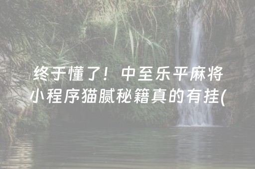 终于懂了！中至乐平麻将小程序猫腻秘籍真的有挂(确实有挂吗)