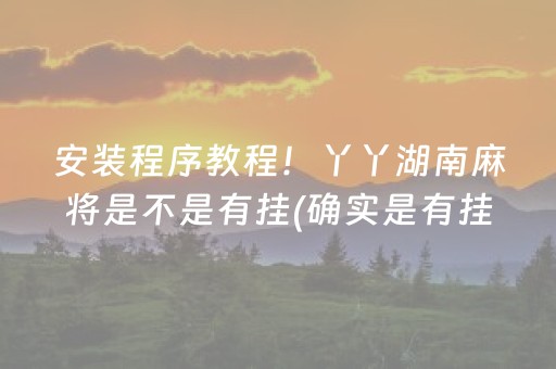 安装程序教程！丫丫湖南麻将是不是有挂(确实是有挂)