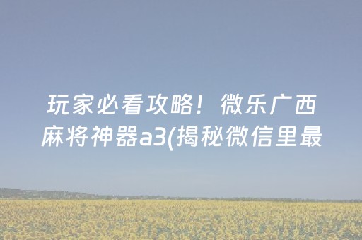 玩家必看攻略！微乐广西麻将神器a3(揭秘微信里最新神器下载)