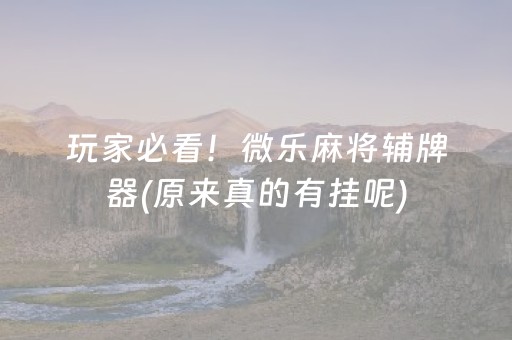玩家必看！微乐麻将辅牌器(原来真的有挂呢)
