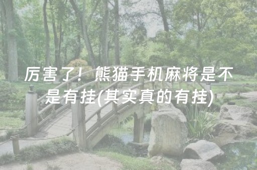 厉害了！熊猫手机麻将是不是有挂(其实真的有挂)