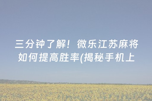 三分钟了解！微乐江苏麻将如何提高胜率(揭秘手机上助手软件)