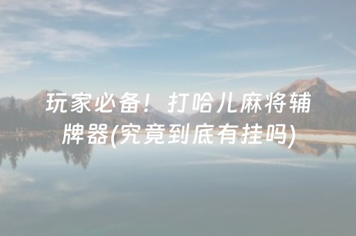 玩家必备！打哈儿麻将辅牌器(究竟到底有挂吗)