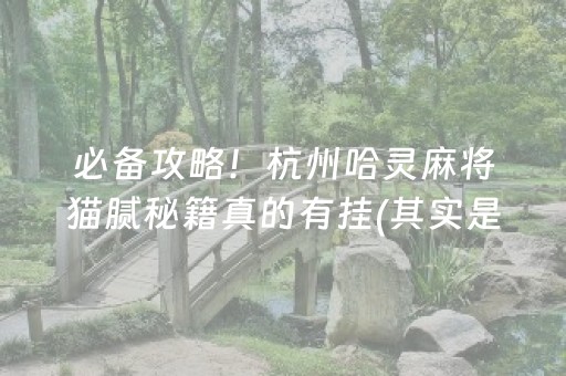 必备攻略！杭州哈灵麻将猫腻秘籍真的有挂(其实是有挂的)