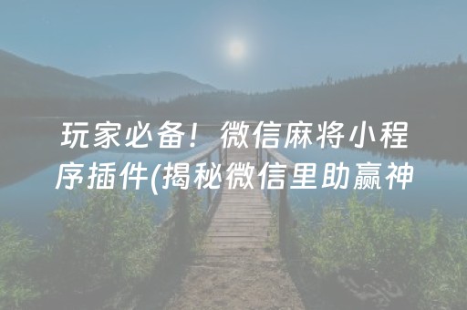 玩家必备！微信麻将小程序插件(揭秘微信里助赢神器购买)