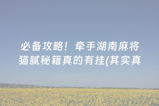 必备攻略！牵手湖南麻将猫腻秘籍真的有挂(其实真的有挂)