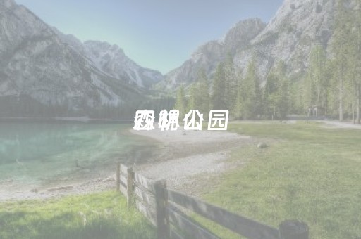 四明山
森林公园（四明山
森林公园门票多少钱）
