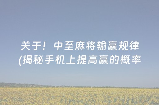 关于！中至麻将输赢规律(揭秘手机上提高赢的概率)