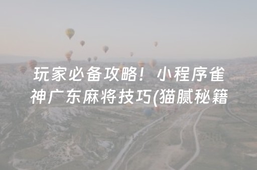 玩家必备攻略！小程序雀神广东麻将技巧(猫腻秘籍真的有挂)