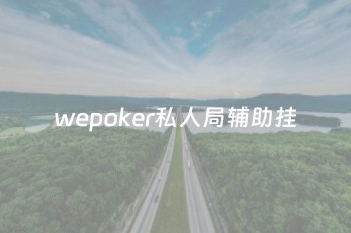 wepoker私人局辅助挂（wepoker辅助）