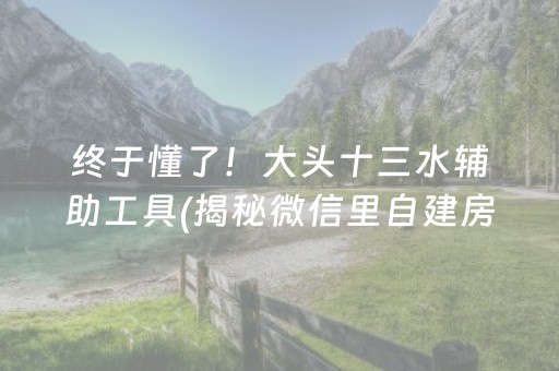 终于懂了！大头十三水辅助工具(揭秘微信里自建房怎么赢)
