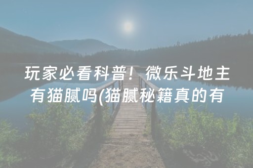玩家必看科普！微乐斗地主有猫腻吗(猫腻秘籍真的有挂)