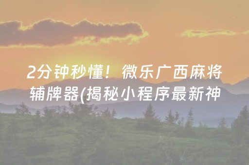 2分钟秒懂！微乐广西麻将辅牌器(揭秘小程序最新神器下载)