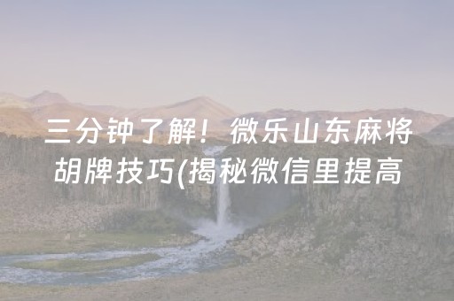 三分钟了解！微乐山东麻将胡牌技巧(揭秘微信里提高赢的概率)