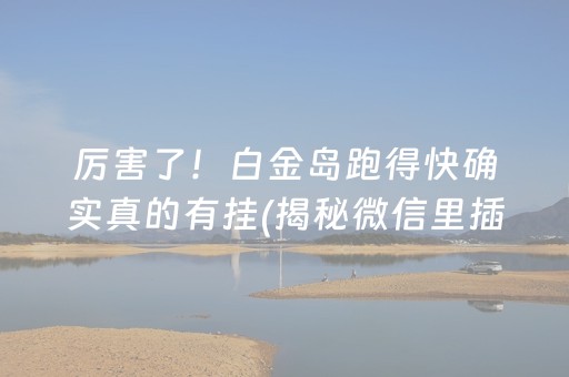 厉害了！白金岛跑得快确实真的有挂(揭秘微信里插件购买)
