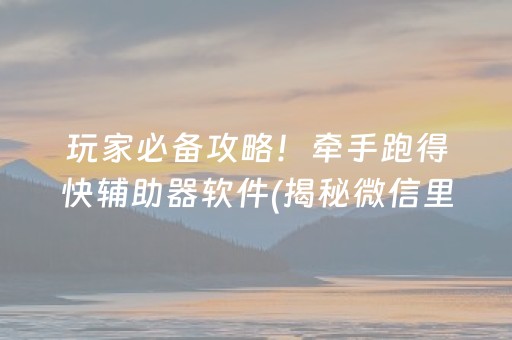 玩家必备攻略！牵手跑得快辅助器软件(揭秘微信里攻略插件)