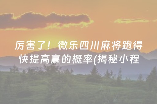 厉害了！微乐四川麻将跑得快提高赢的概率(揭秘小程序必备神器)