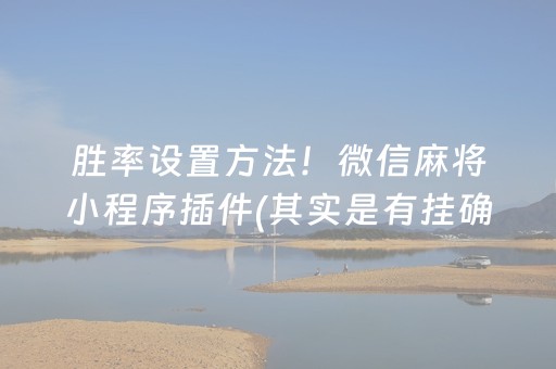 胜率设置方法！微信麻将小程序插件(其实是有挂确实有挂)