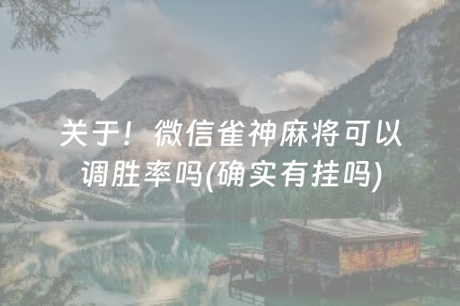 关于！微信雀神麻将可以调胜率吗(确实有挂吗)