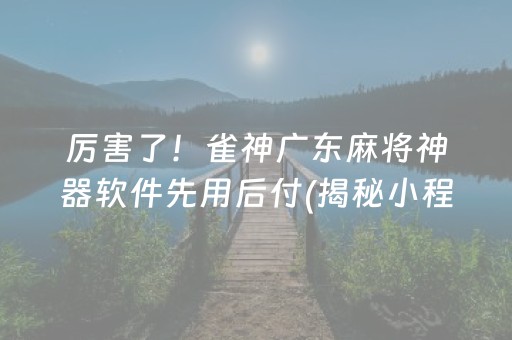 厉害了！雀神广东麻将神器软件先用后付(揭秘小程序攻略插件)