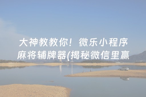 大神教教你！微乐小程序麻将辅牌器(揭秘微信里赢牌技巧)