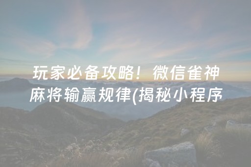 玩家必备攻略！微信雀神麻将输赢规律(揭秘小程序助攻神器)