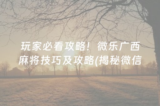 玩家必看攻略！微乐广西麻将技巧及攻略(揭秘微信里自建房怎么赢)
