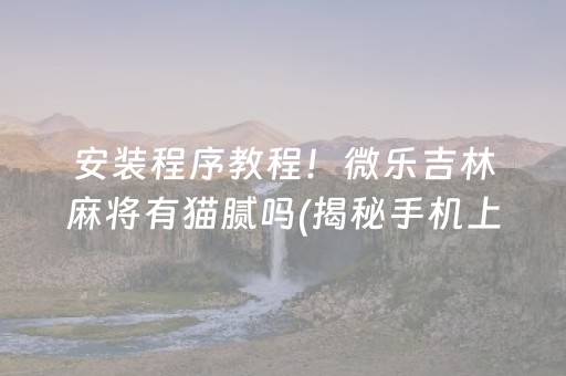 安装程序教程！微乐吉林麻将有猫腻吗(揭秘手机上胡牌技巧)