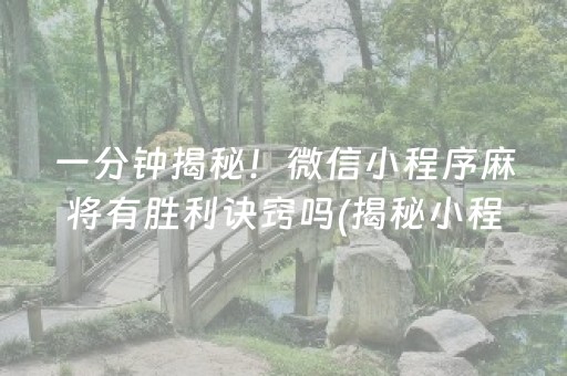 一分钟揭秘！微信小程序麻将有胜利诀窍吗(揭秘小程序最新神器下载)