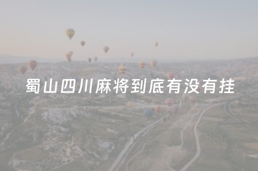 蜀山四川麻将到底有没有挂（蜀山四川麻将是不是有挂）